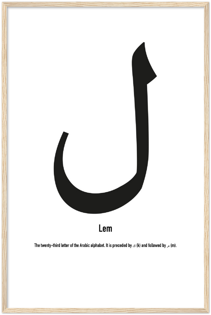 Lem - Framed Poster - Shaden & Daysam